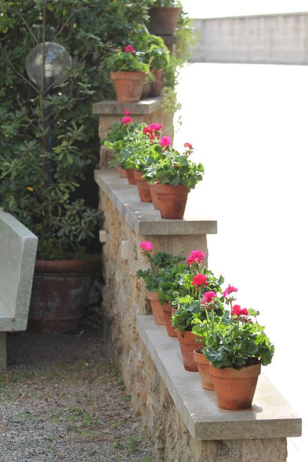 Hotel La Marinella กัสตีลยอนเชลโล ภายนอก รูปภาพ